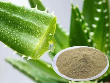 aloeveraextract