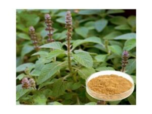 boosts heart health & helps in detoxification of body (8)