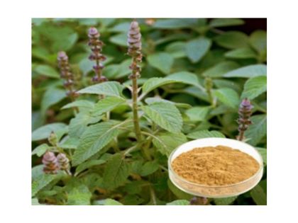 boosts heart health & helps in detoxification of body (8)