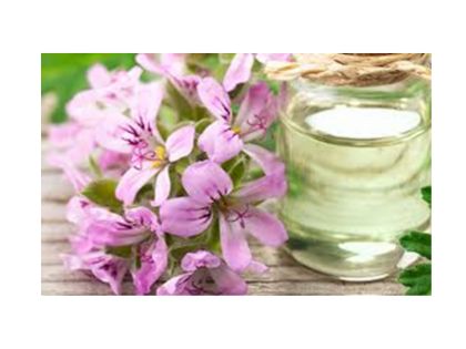 medicalwound care aids tissue repair and wound healing (11)