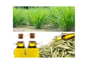 medicalwound care aids tissue repair and wound healing (12)