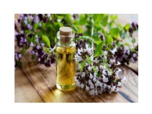 medicalwound care aids tissue repair and wound healing (14)