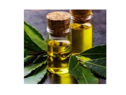 medicalwound care aids tissue repair and wound healing (3)