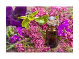 medicalwound care aids tissue repair and wound healing (6)