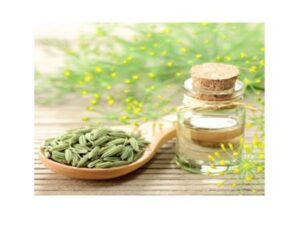 medicalwound care aids tissue repair and wound healing (9)