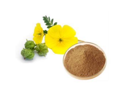 & reduce inflammation (13)