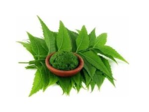 untitled design (16)