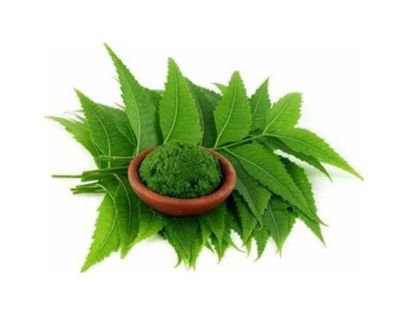 untitled design (16)