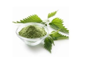 untitled design (17)