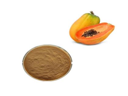 untitled design (19)