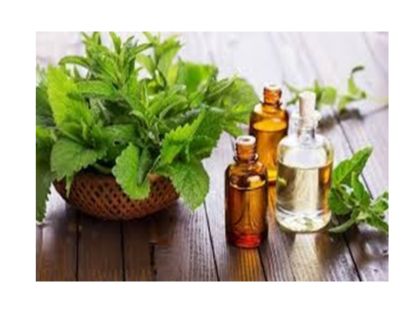 untitled design (22)