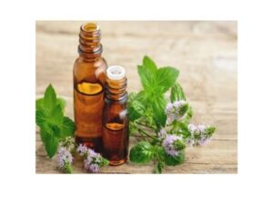 untitled design (24)