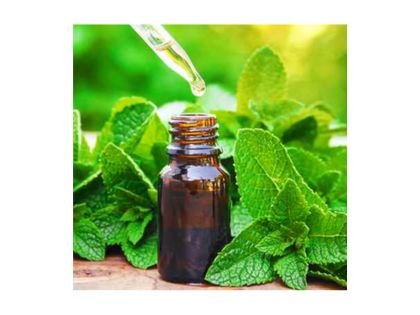 untitled design (25)