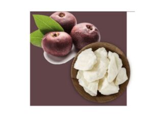 untitled design (28)