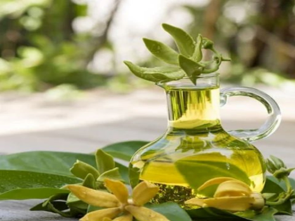 untitled design (10)